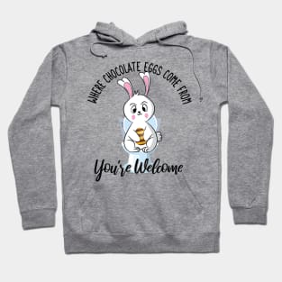 Where Chocolate Eggs Come From Easter Potty Poop Hoodie